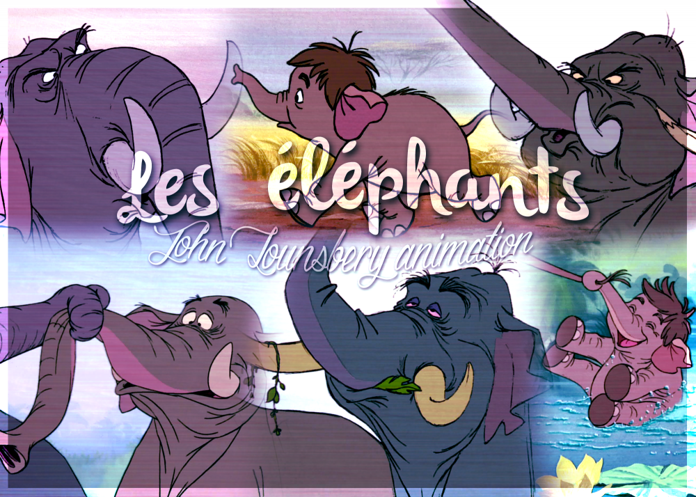 50ans - El�phants - John Lounsbery
