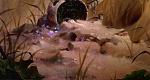 The Secret of NIMH picture
