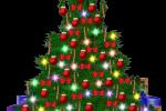 The Mighty Tree