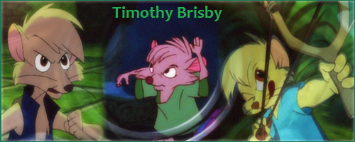 Timothy Brisby Signature