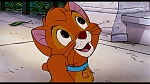 Oliver & Company