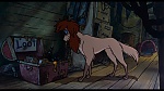 Oliver & Company