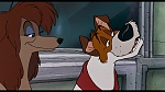 Oliver & Company picture