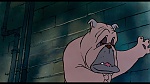 Oliver & Company
