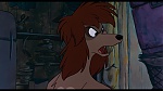 Oliver & Company picture