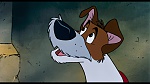 Oliver & Company