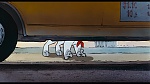 Oliver & Company