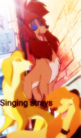 Singing strays 