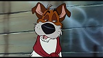 Image Oliver & Company