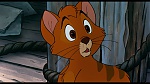 Image Oliver & Company