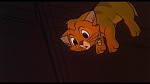 Oliver & Company