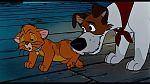 Oliver & Company
