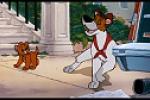 Gallerie d'images de Oliver & Compagnie 