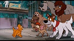 Oliver & Company