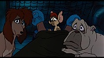 Image Oliver & Company
