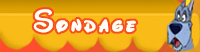 Sondage