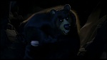 Over the Hedge picture