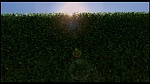 Over the Hedge picture