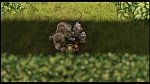 Over the Hedge picture