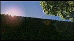 Over the Hedge picture