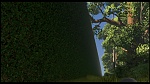 Over the Hedge picture