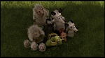 Over the Hedge picture
