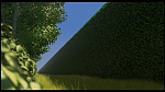 Over the Hedge picture