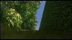 Over the Hedge picture