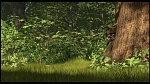 Over the Hedge picture