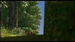 Over the Hedge picture