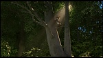 Over the Hedge picture
