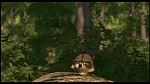 Over the Hedge picture