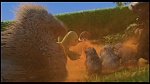 Over the Hedge picture