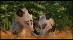 Over the Hedge picture
