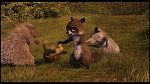 Over the Hedge picture