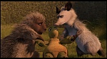 Over the Hedge picture