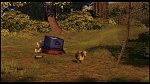 Over the Hedge picture