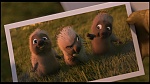 Over the Hedge picture