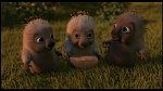 Over the Hedge picture