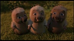 Over the Hedge picture