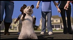 Over the Hedge picture