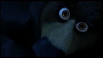 Over the Hedge picture