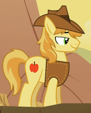 Detail Braeburn Detail Braeburn