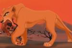 Zira - L'analyse 