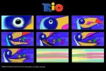 Storyboards 
