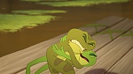 The Princess & The Frog