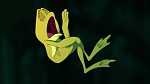 The Princess & The Frog