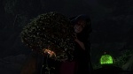 Image Raiponce