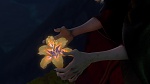 Image Raiponce