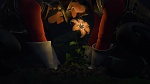 Image Raiponce